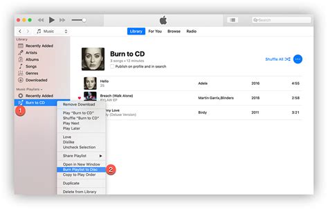 Can You Burn CDs from Apple Music? An Examination of the Pros and Cons